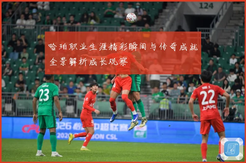 哈珀职业生涯精彩瞬间与传奇成就全景解析成长观察