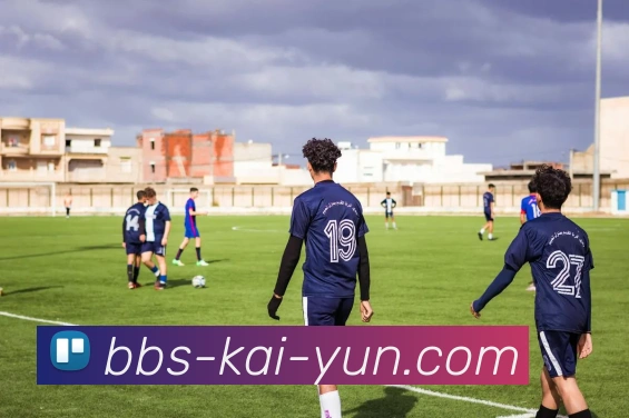 开云平台展示图