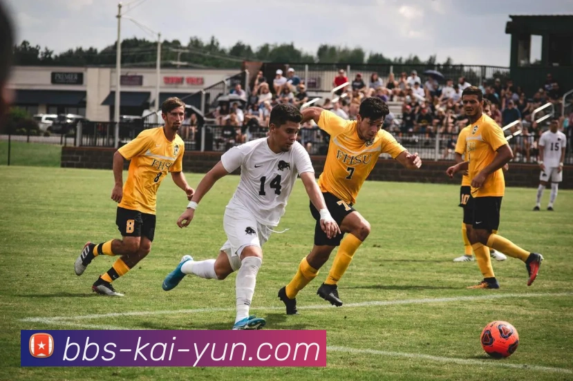 开云官网全站App